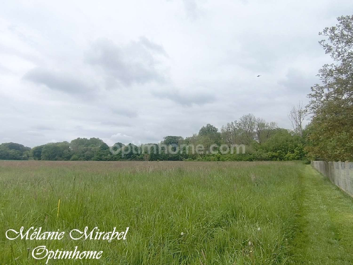  for sale terrain Courdemanche Eure 4