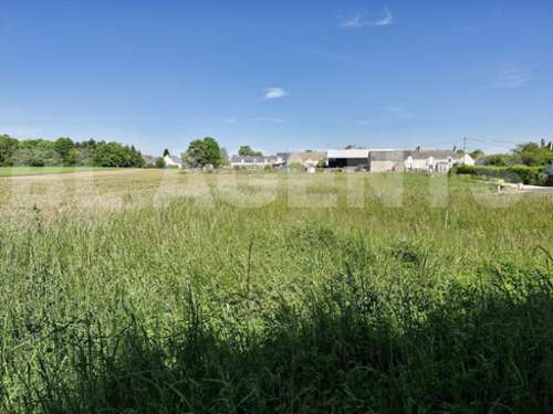 Cravant Loiret terrein foto 7301597