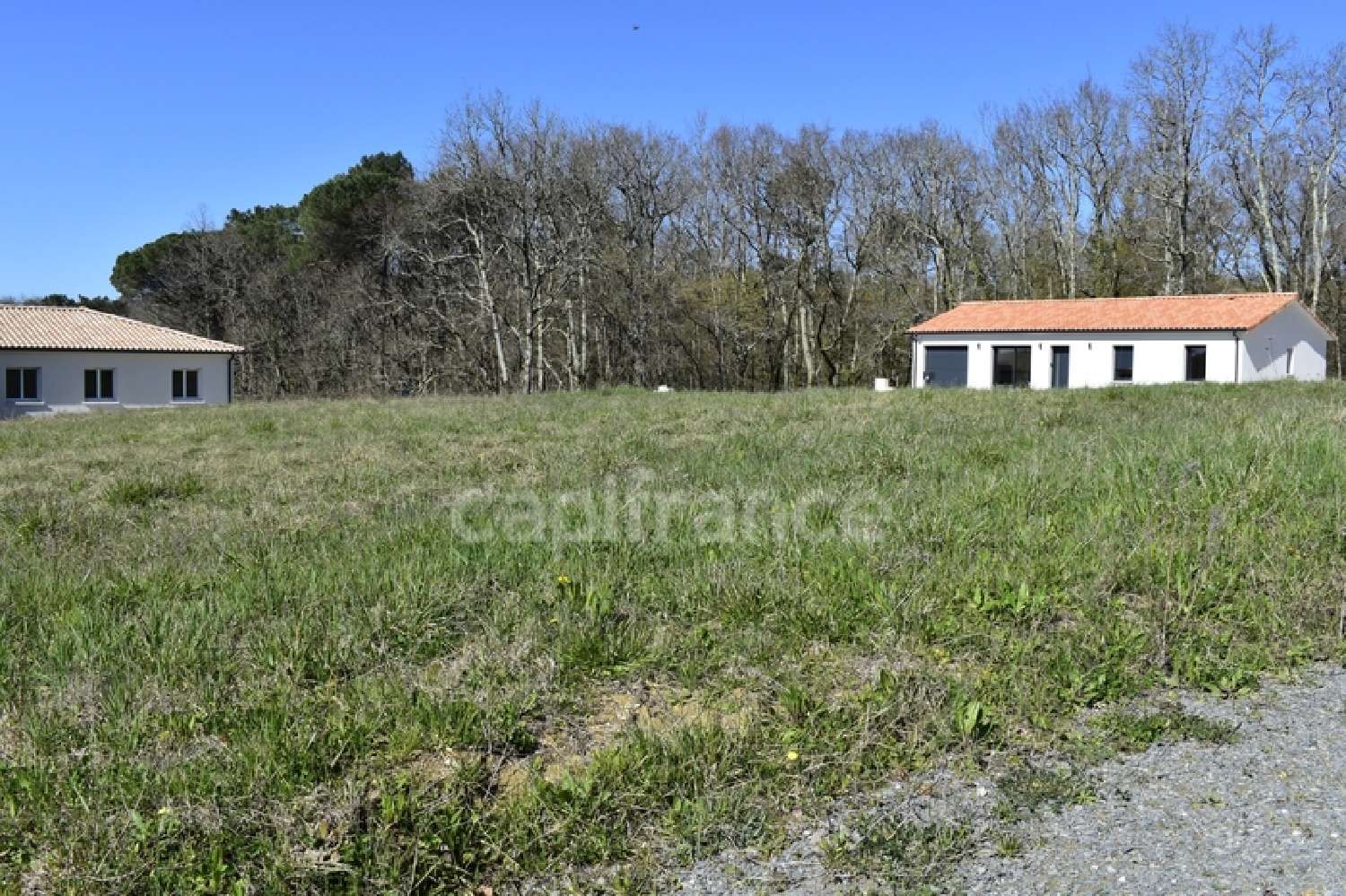  kaufen Grundstück Cursan Gironde 4