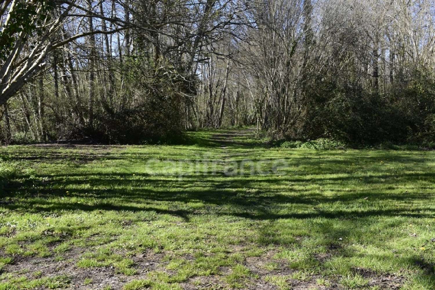 kaufen Grundstück Cursan Gironde 6