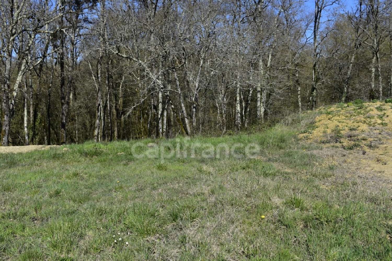  kaufen Grundstück Cursan Gironde 1