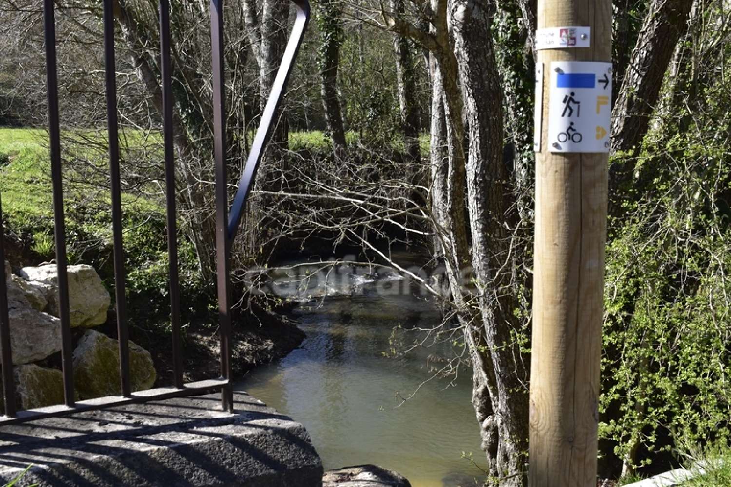 kaufen Grundstück Cursan Gironde 7