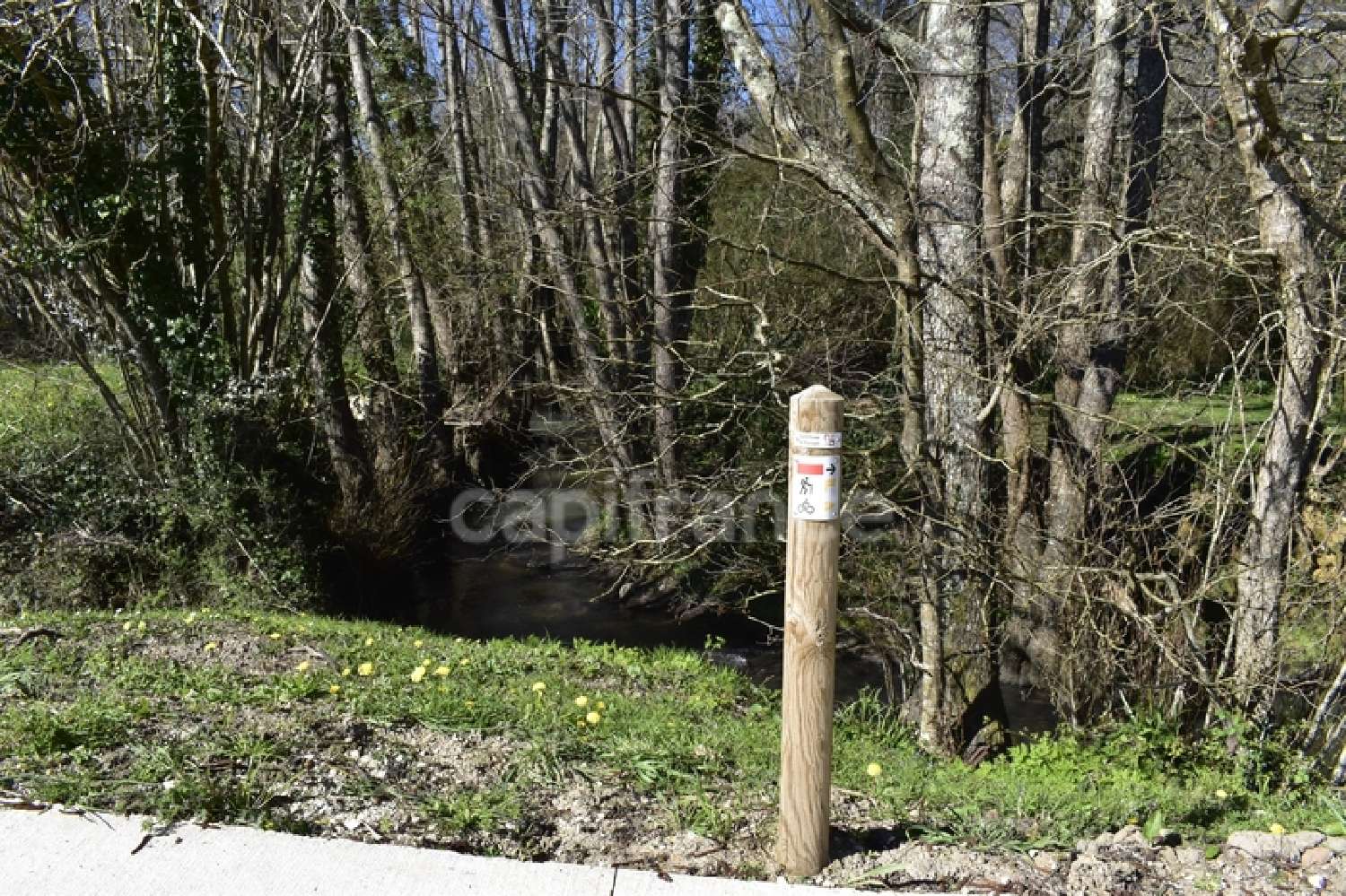 kaufen Grundstück Cursan Gironde 6