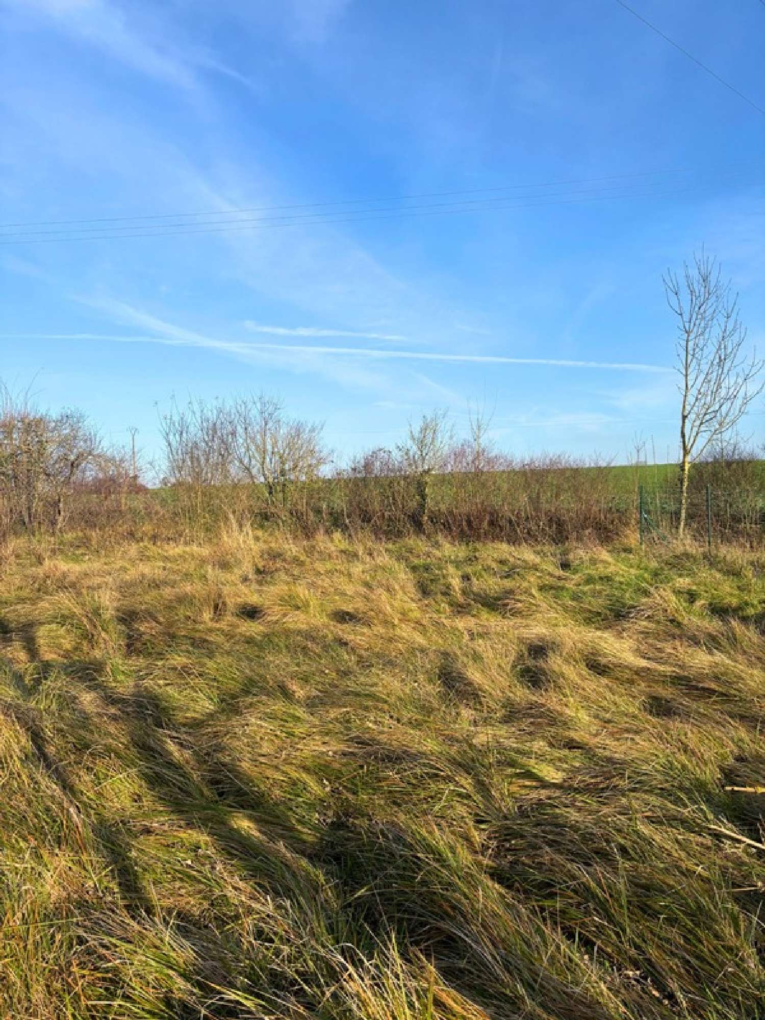  te koop terrein Dierrey-Saint-Julien Aube 1