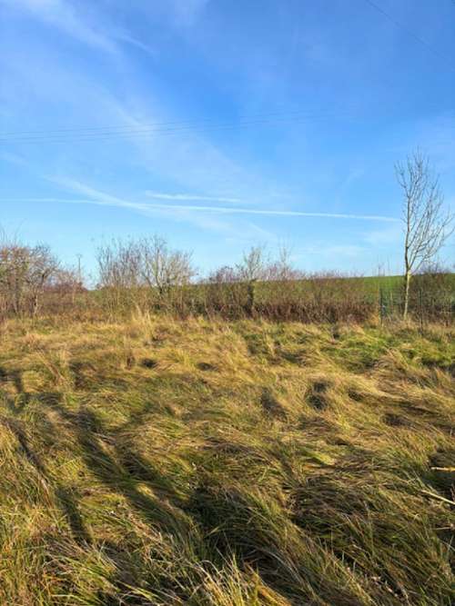 Dierrey-Saint-Julien Aube terrein foto 7304806