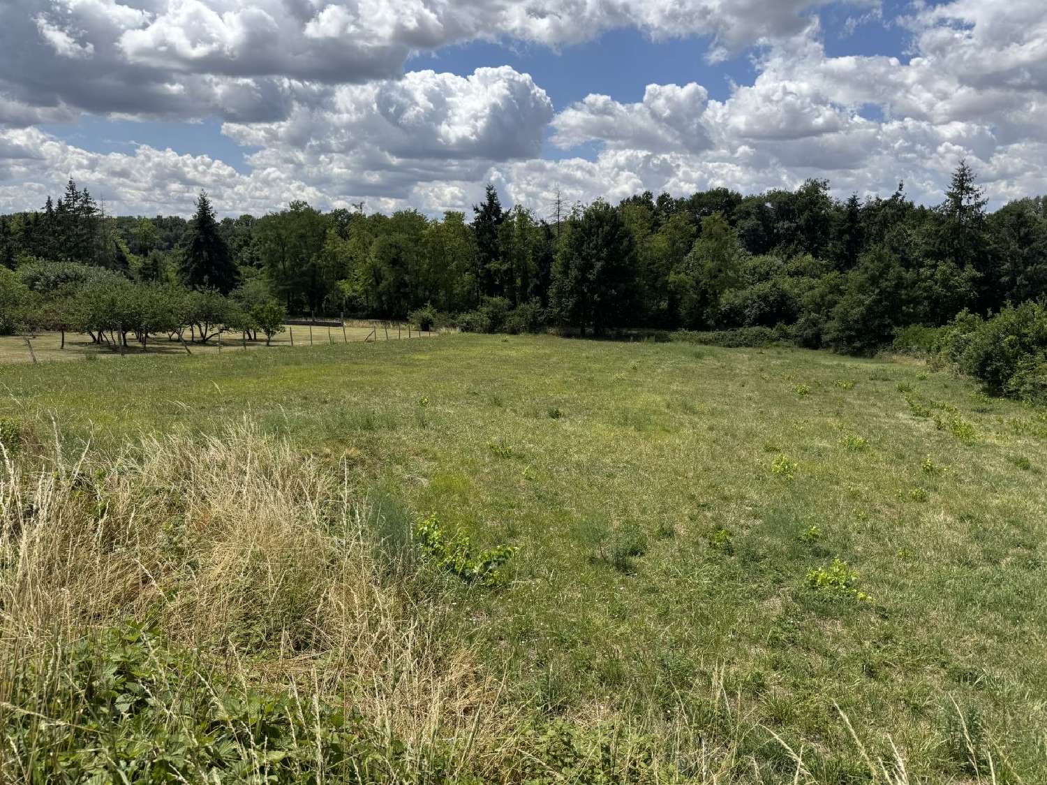  for sale terrain Drevant Cher 2