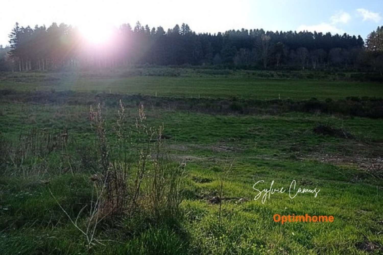  te koop terrein Dunières Haute-Loire 5