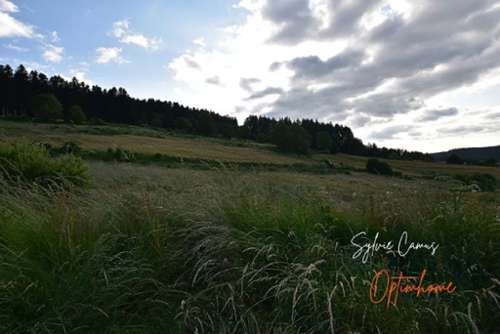 Dunières Haute-Loire terrain foto 7300072