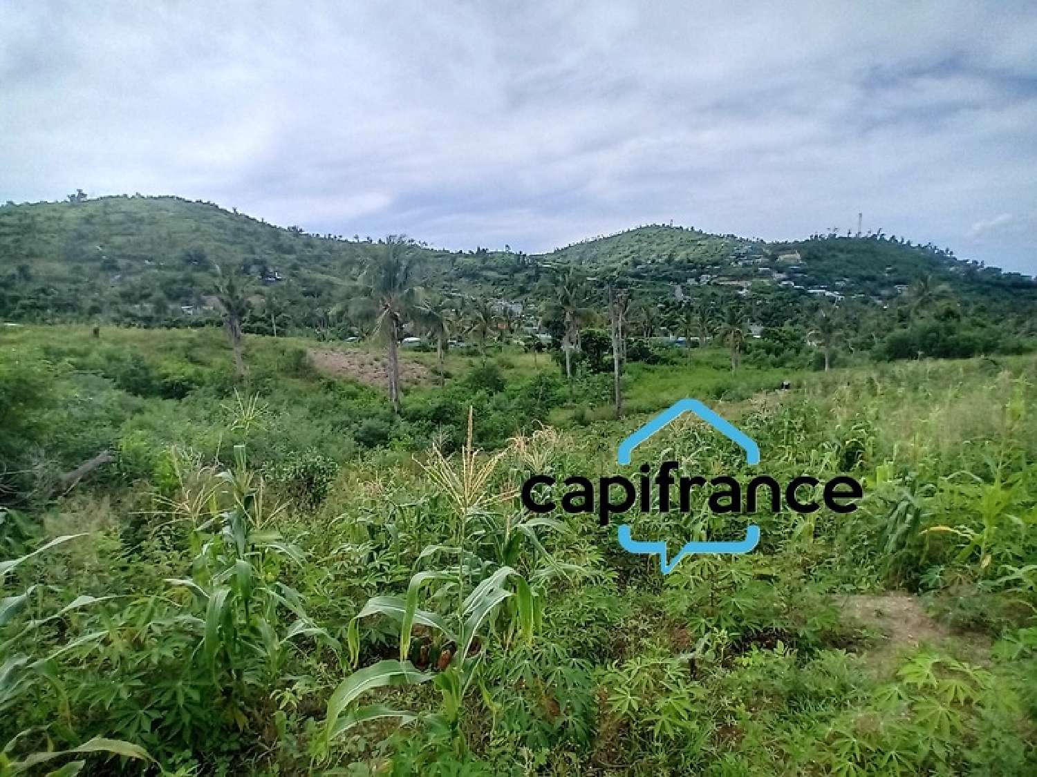  à vendre terrain Dzaoudzi Mayotte 2