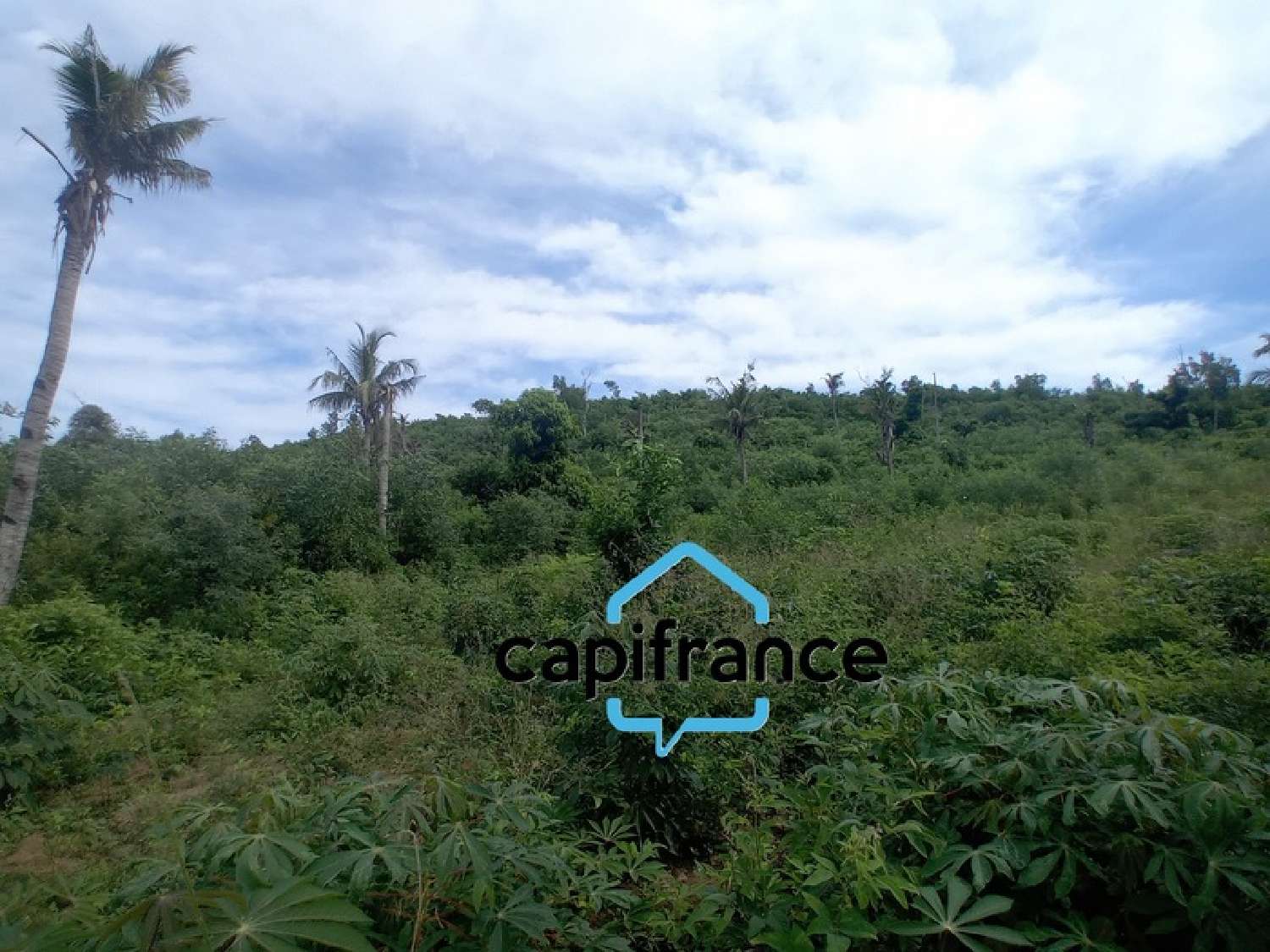  à vendre terrain Dzaoudzi Mayotte 3