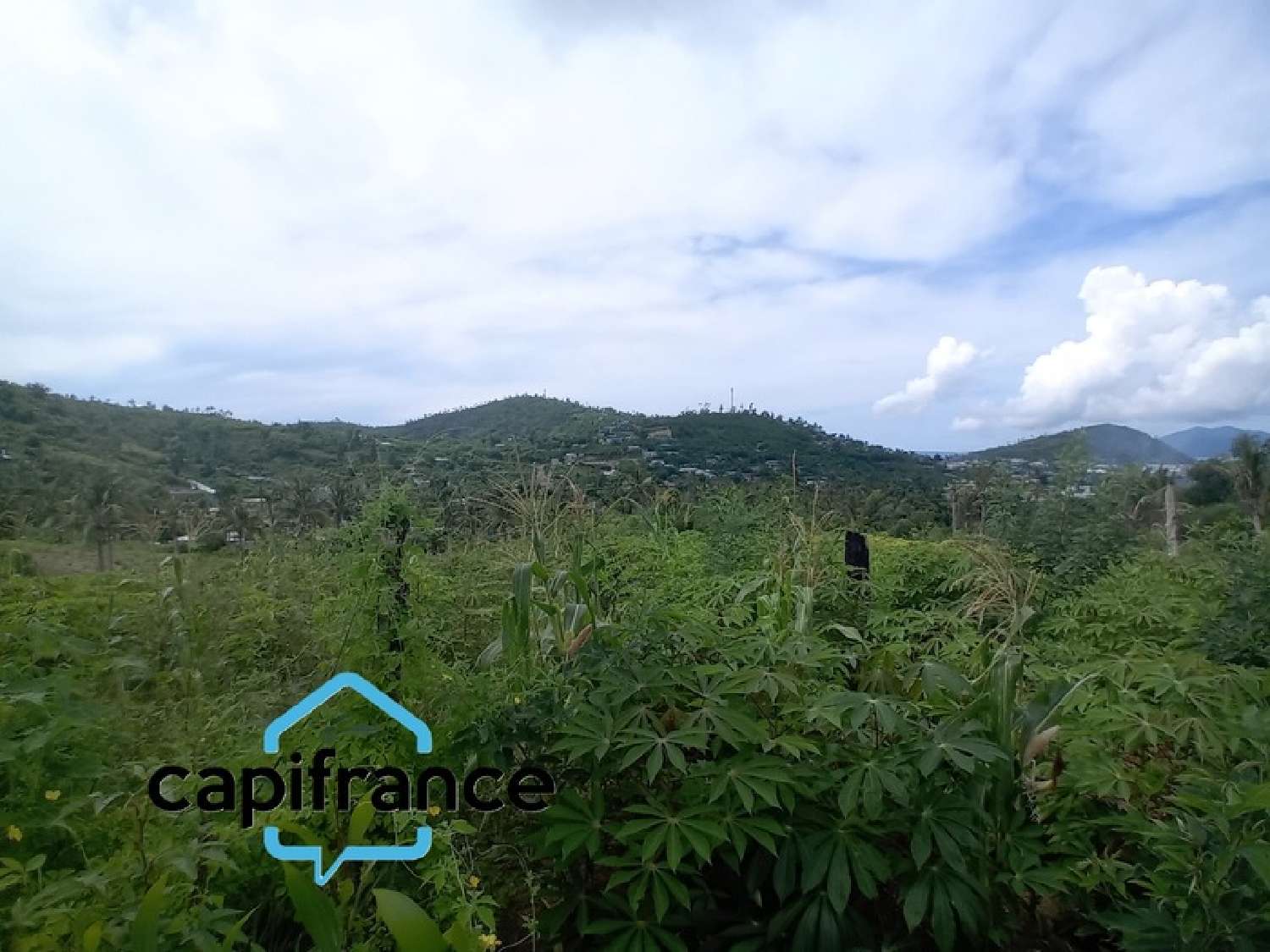  à vendre terrain Dzaoudzi Mayotte 4