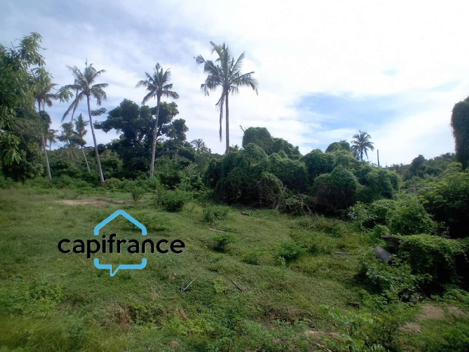  à vendre terrain Dzaoudzi Mayotte 5