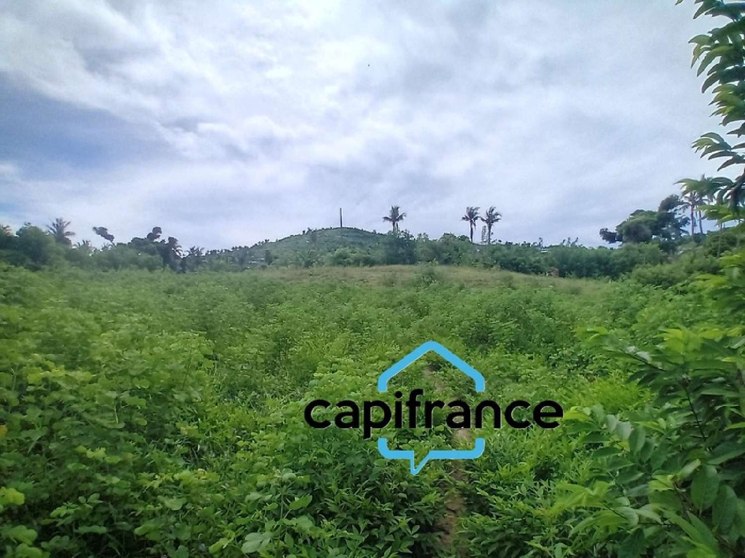  à vendre terrain Dzaoudzi Mayotte 6