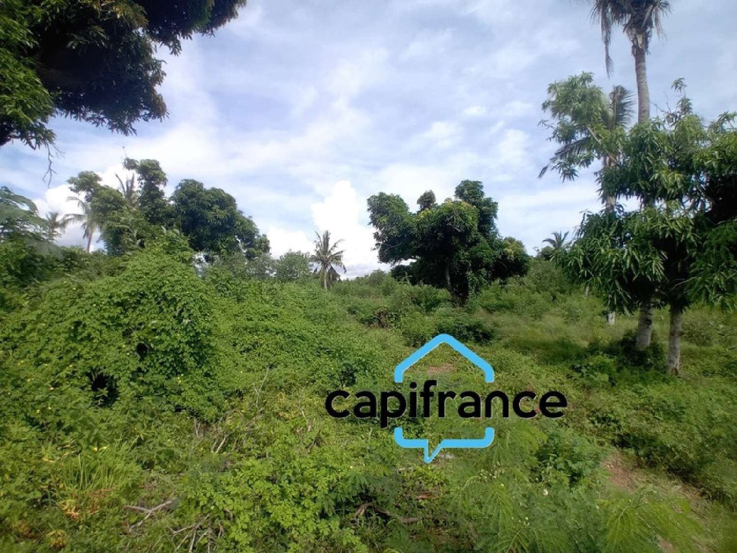  à vendre terrain Dzaoudzi Mayotte 7