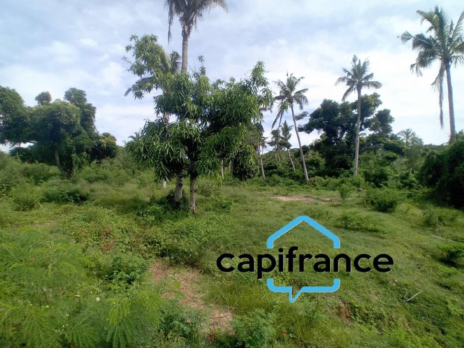  à vendre terrain Dzaoudzi Mayotte 8