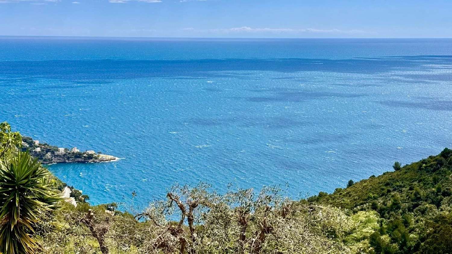 à vendre terrain Éze Alpes-Maritimes 3