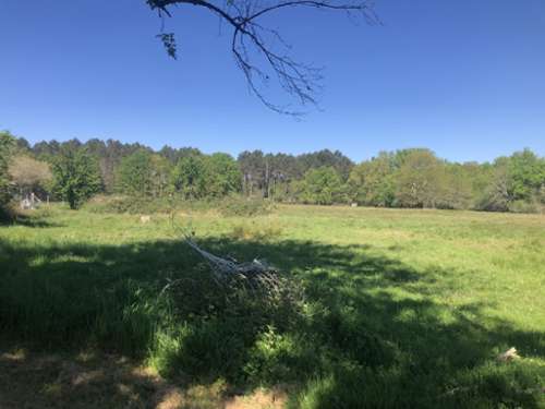 Gaillan-en-Médoc Gironde terrain foto 7313318