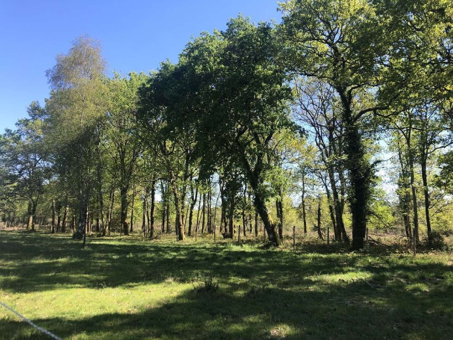  à vendre terrain Gaillan-en-Médoc Gironde 1