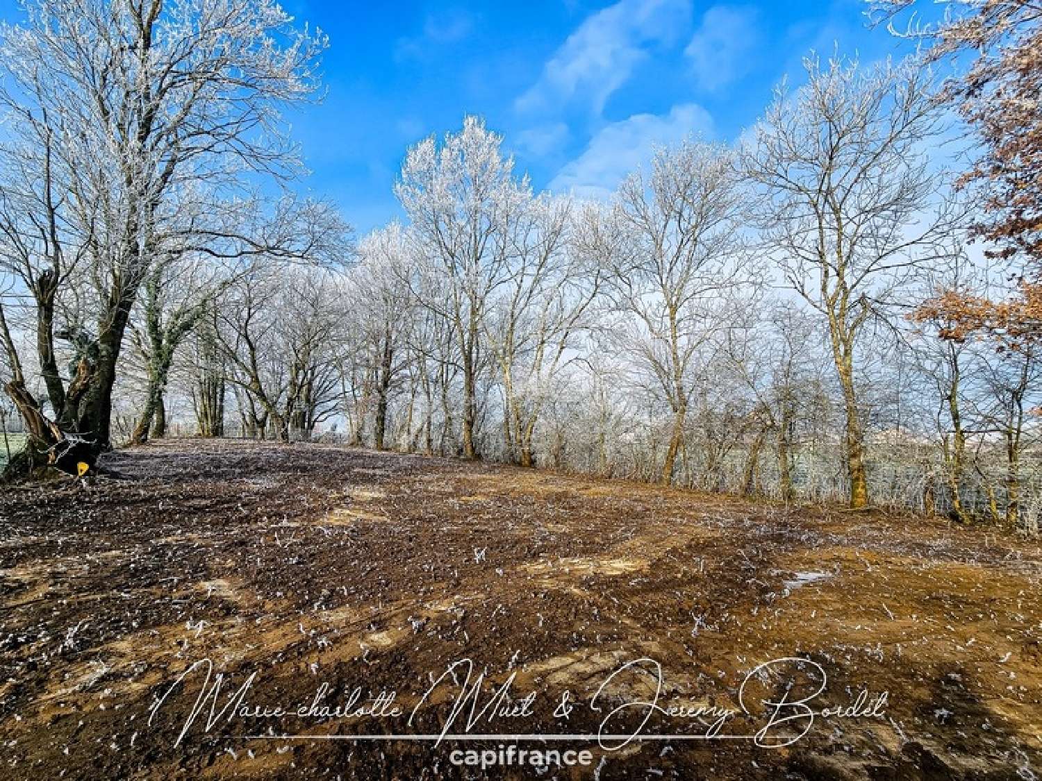 kaufen Grundstück Gorrevod Ain 3