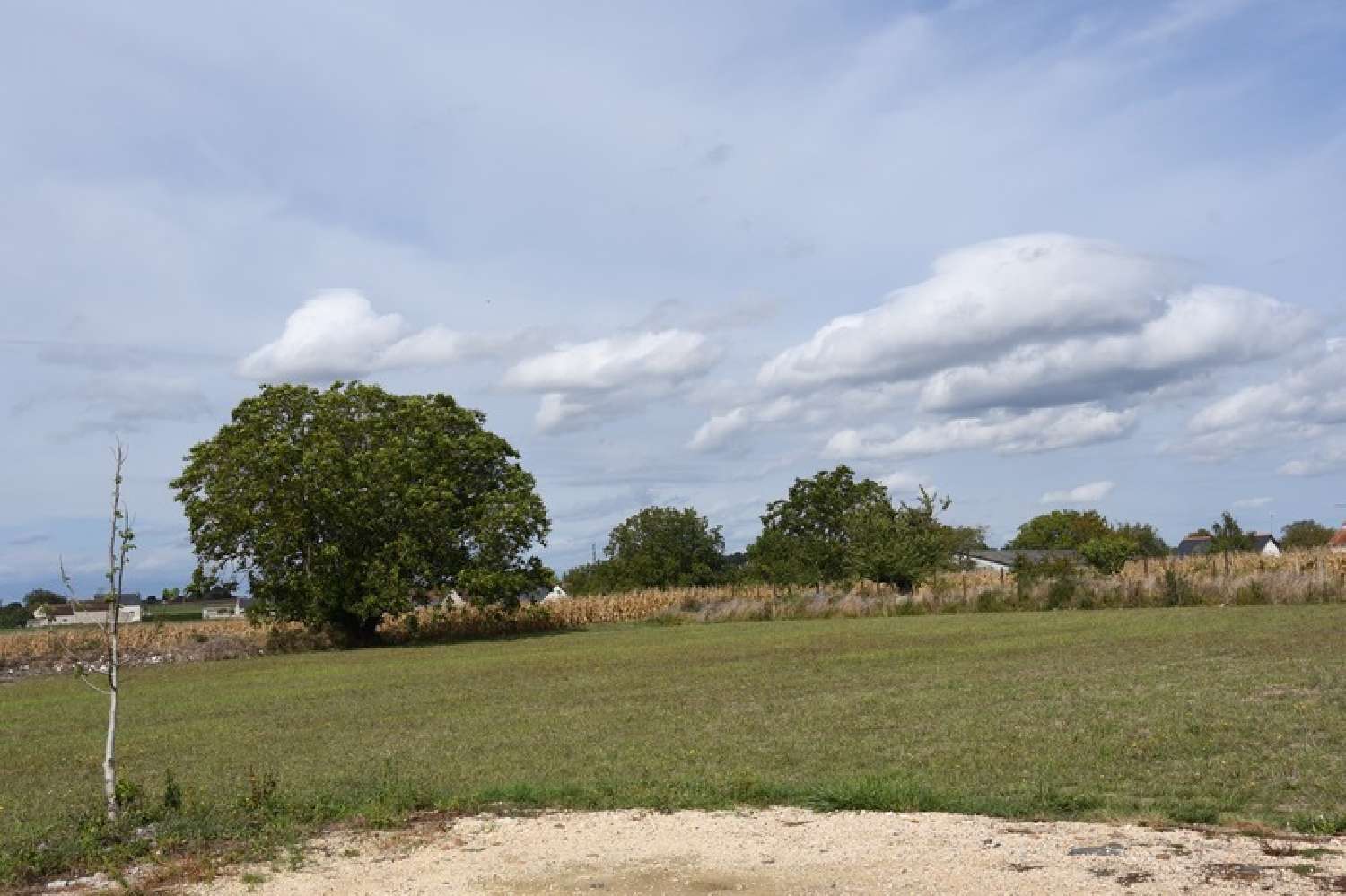  à vendre terrain La Celle-Saint-Avant Indre-et-Loire 1