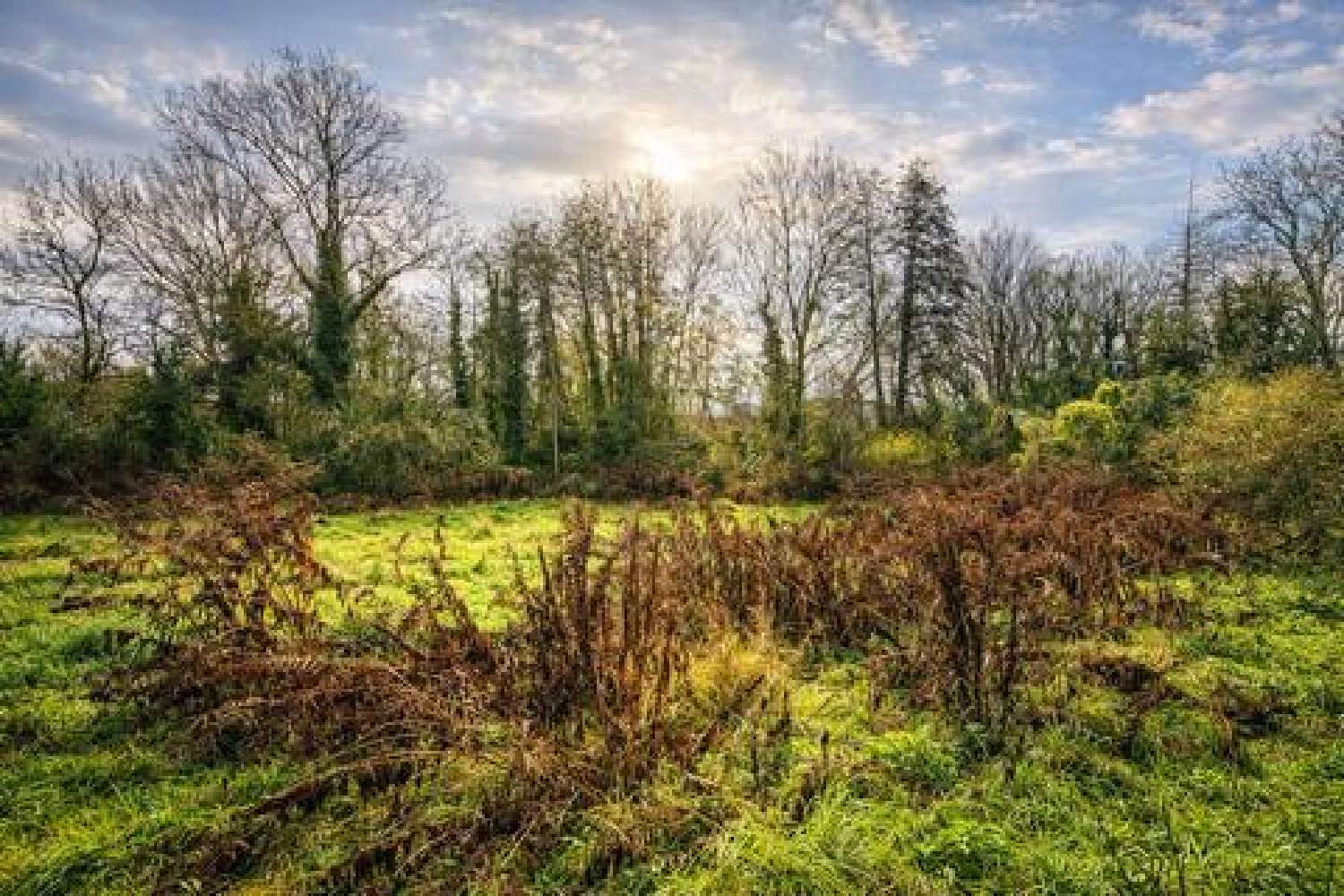  te koop terrein La Ferté-Alais Essonne 1