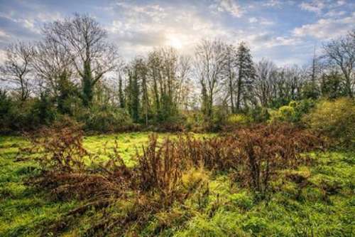 La Ferté-Alais Essonne terrein foto 7310585