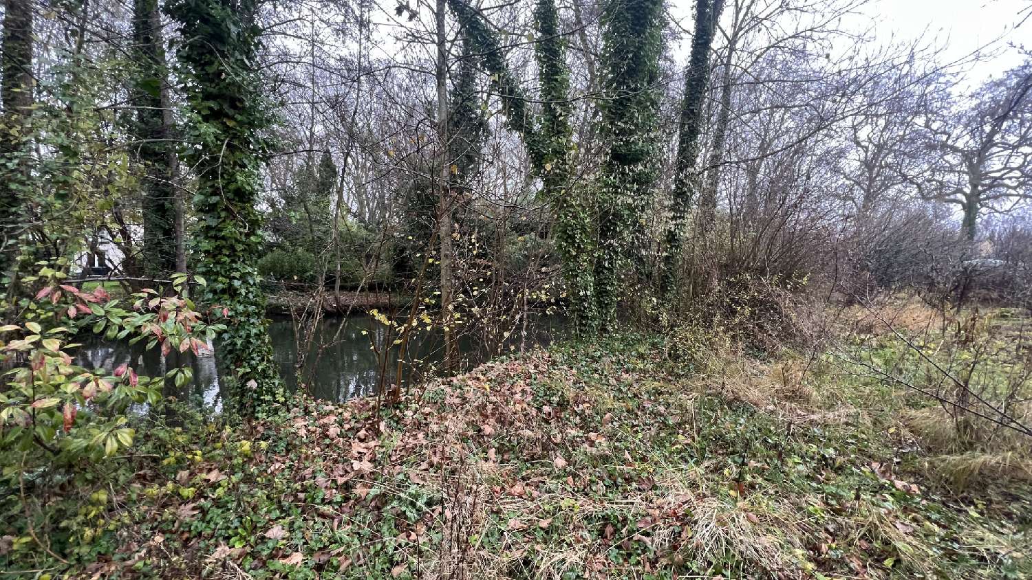  te koop terrein La Ferté-Alais Essonne 4