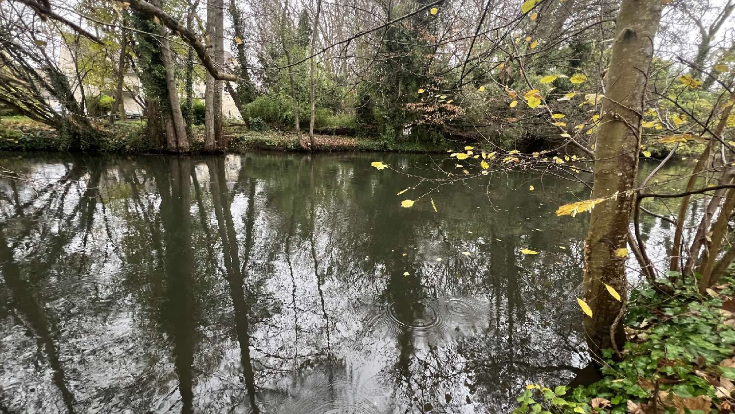  te koop terrein La Ferté-Alais Essonne 5