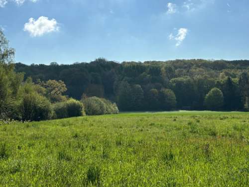 La Ferté-sous-Jouarre Seine-et-Marne terreno foto 7317071