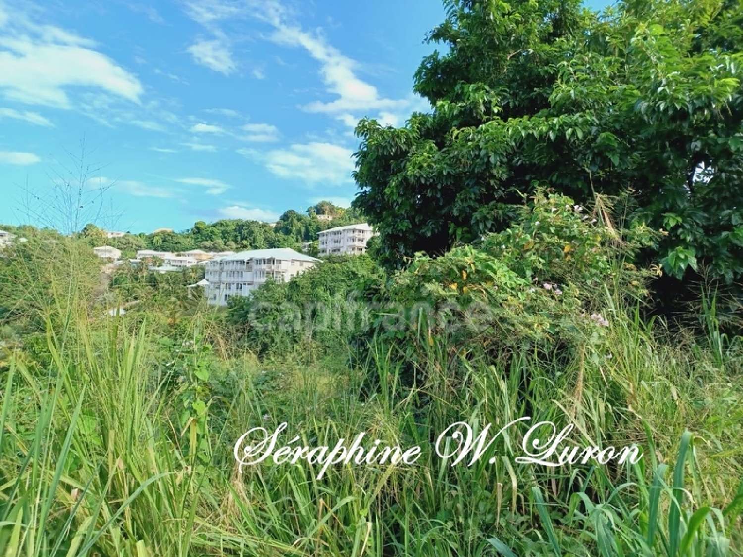  te koop terrein La Trinité Martinique 2