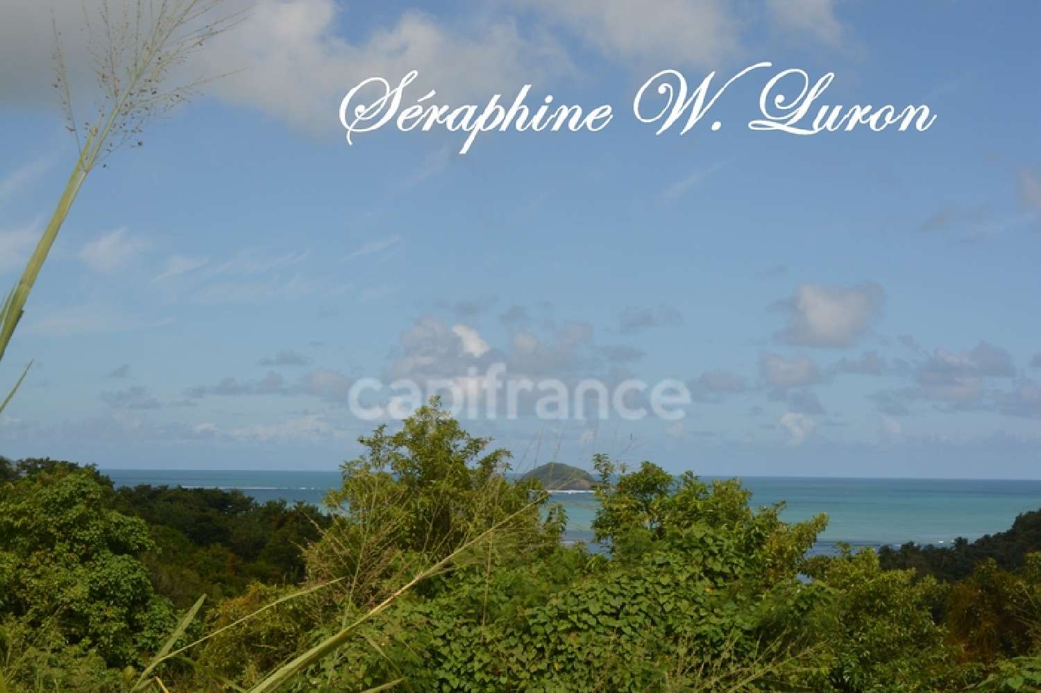  te koop terrein La Trinité Martinique 4