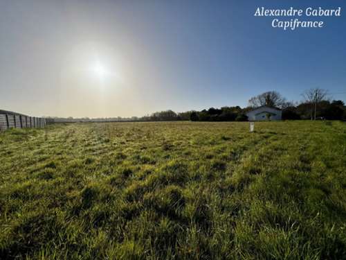 Langon Gironde Grundstück Bild 7315298