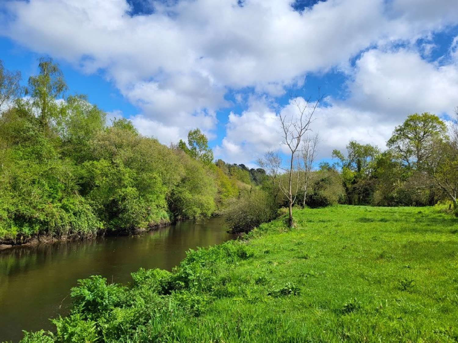  kaufen Grundstück Lannion Côtes-d'Armor 2