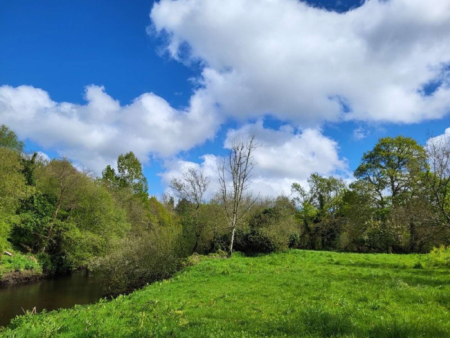  kaufen Grundstück Lannion Côtes-d'Armor 3