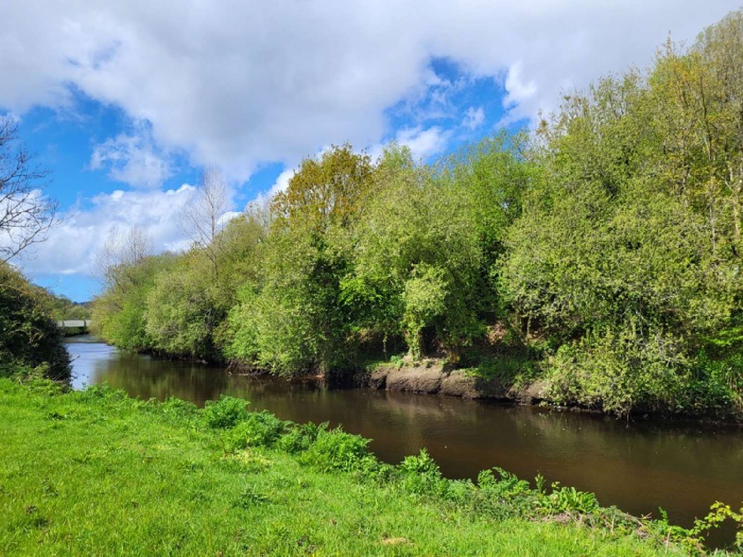  kaufen Grundstück Lannion Côtes-d'Armor 4