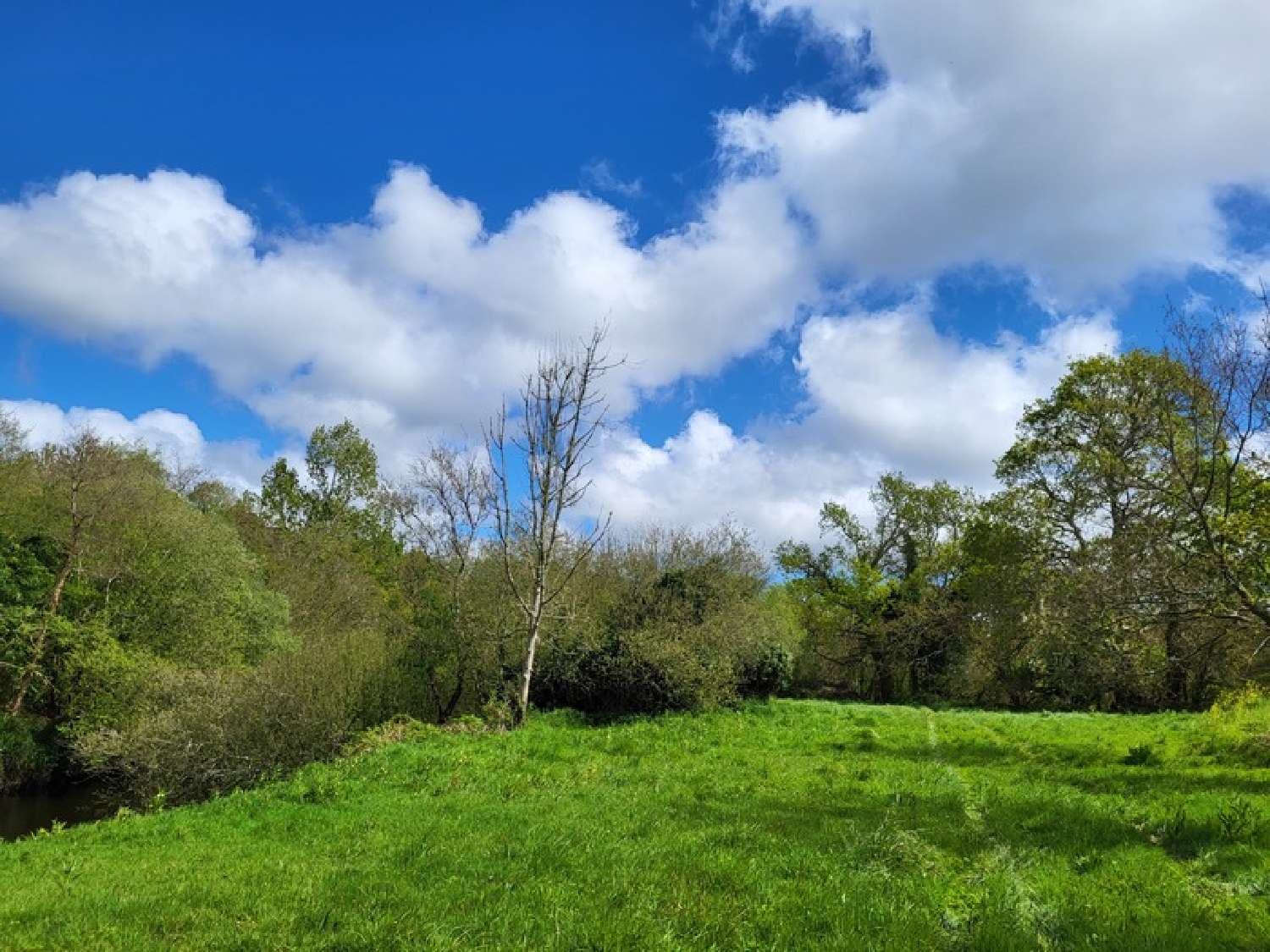  kaufen Grundstück Lannion Côtes-d'Armor 6