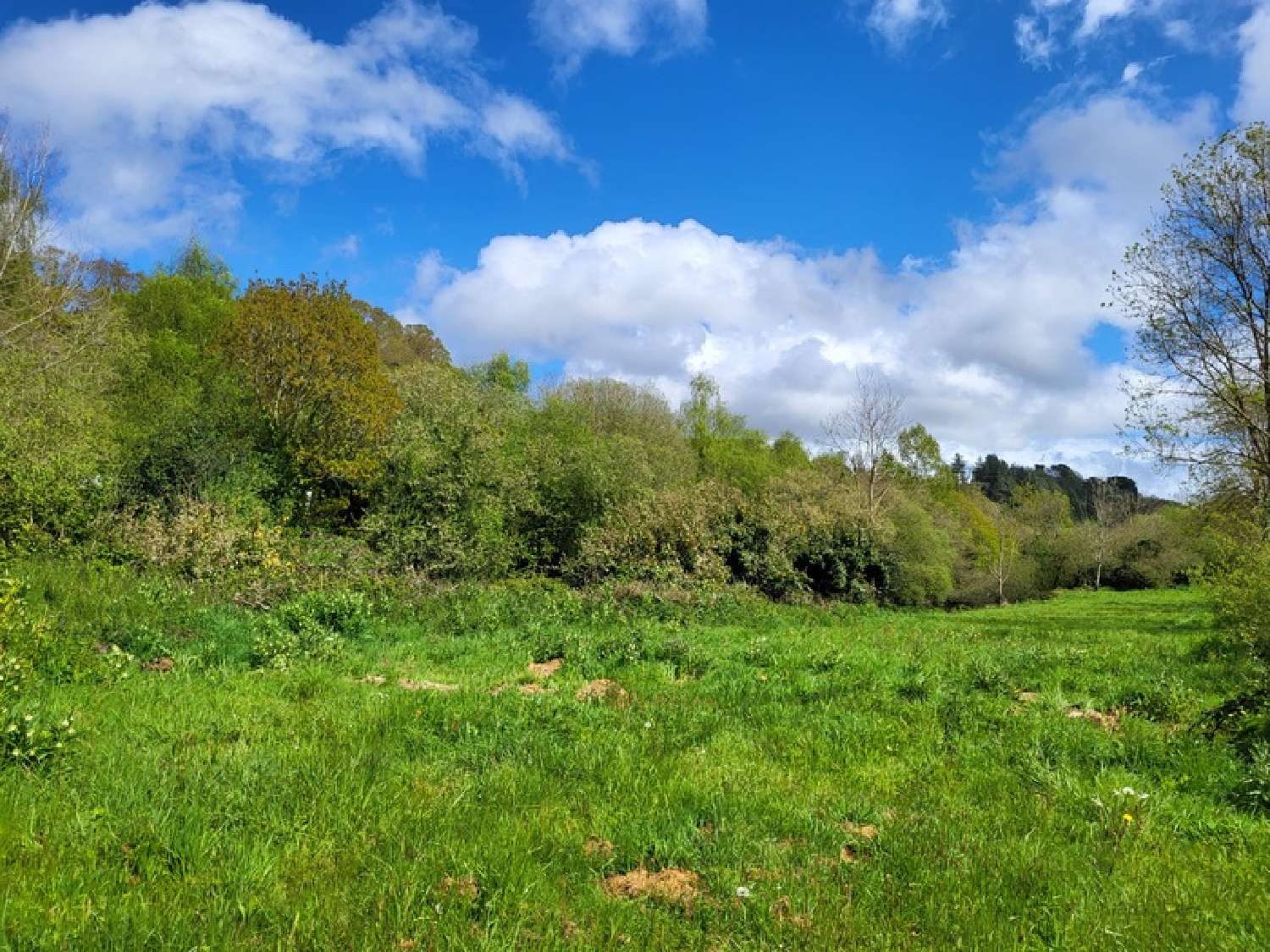  kaufen Grundstück Lannion Côtes-d'Armor 7
