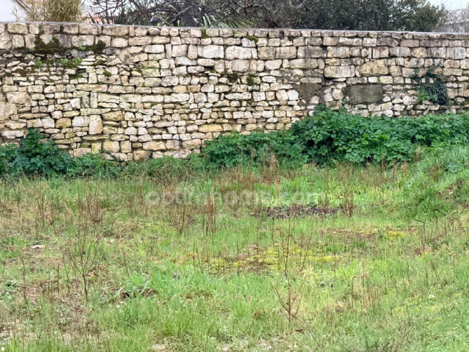  te koop terrein Le Bois-Plage-en-Ré Charente-Maritime 5