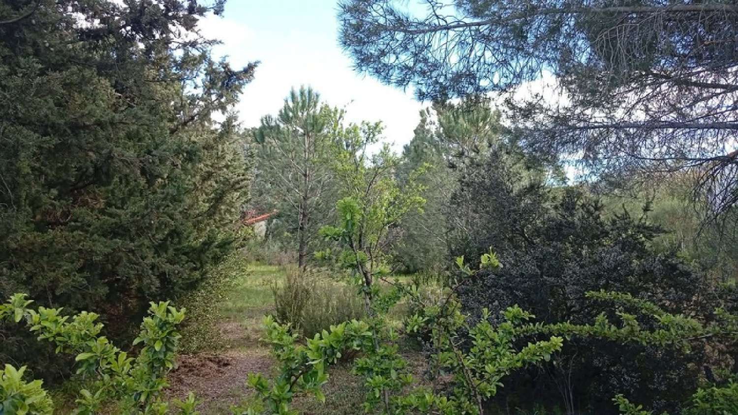 kaufen Grundstück Le Boulou Pyrénées-Orientales 2