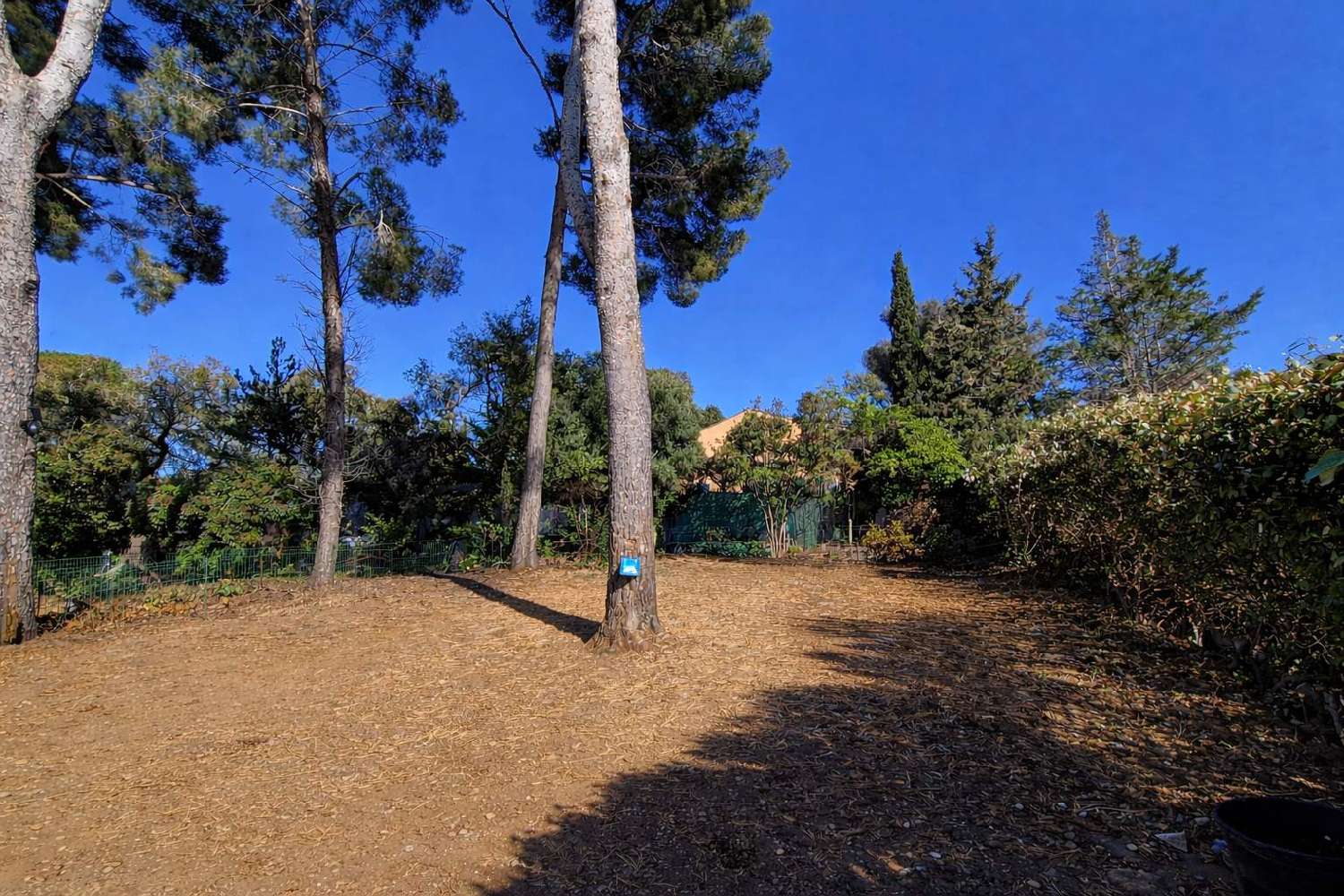 for sale terrain Le Brusc Var 1