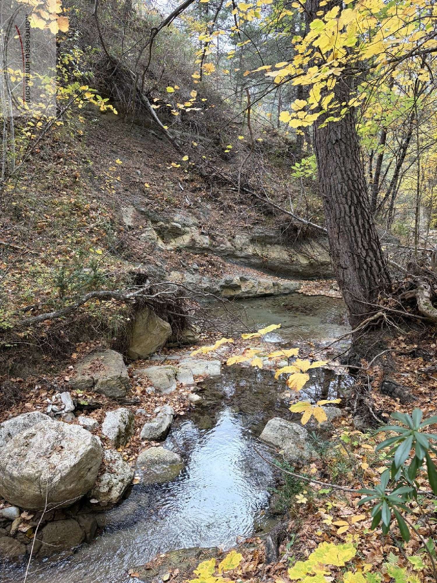 kaufen Grundstück Le Mas Alpes-Maritimes 2