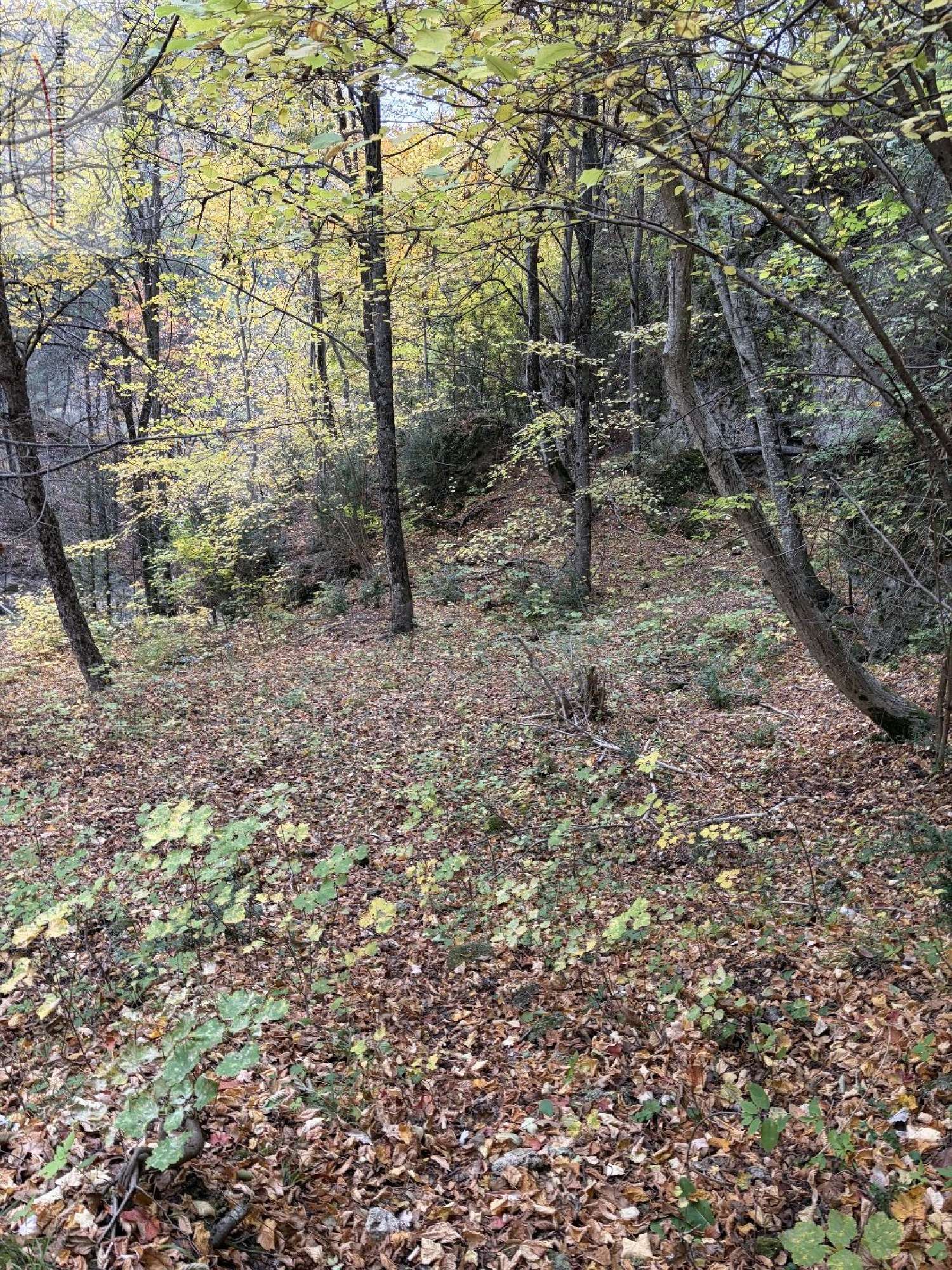 kaufen Grundstück Le Mas Alpes-Maritimes 8