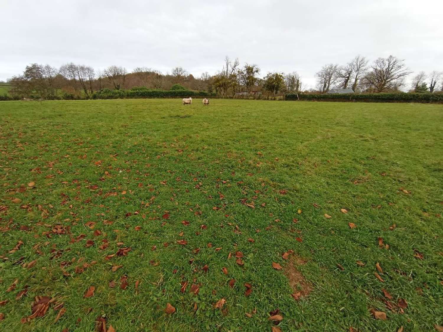  kaufen Grundstück Le Mayet-de-Montagne Allier 1
