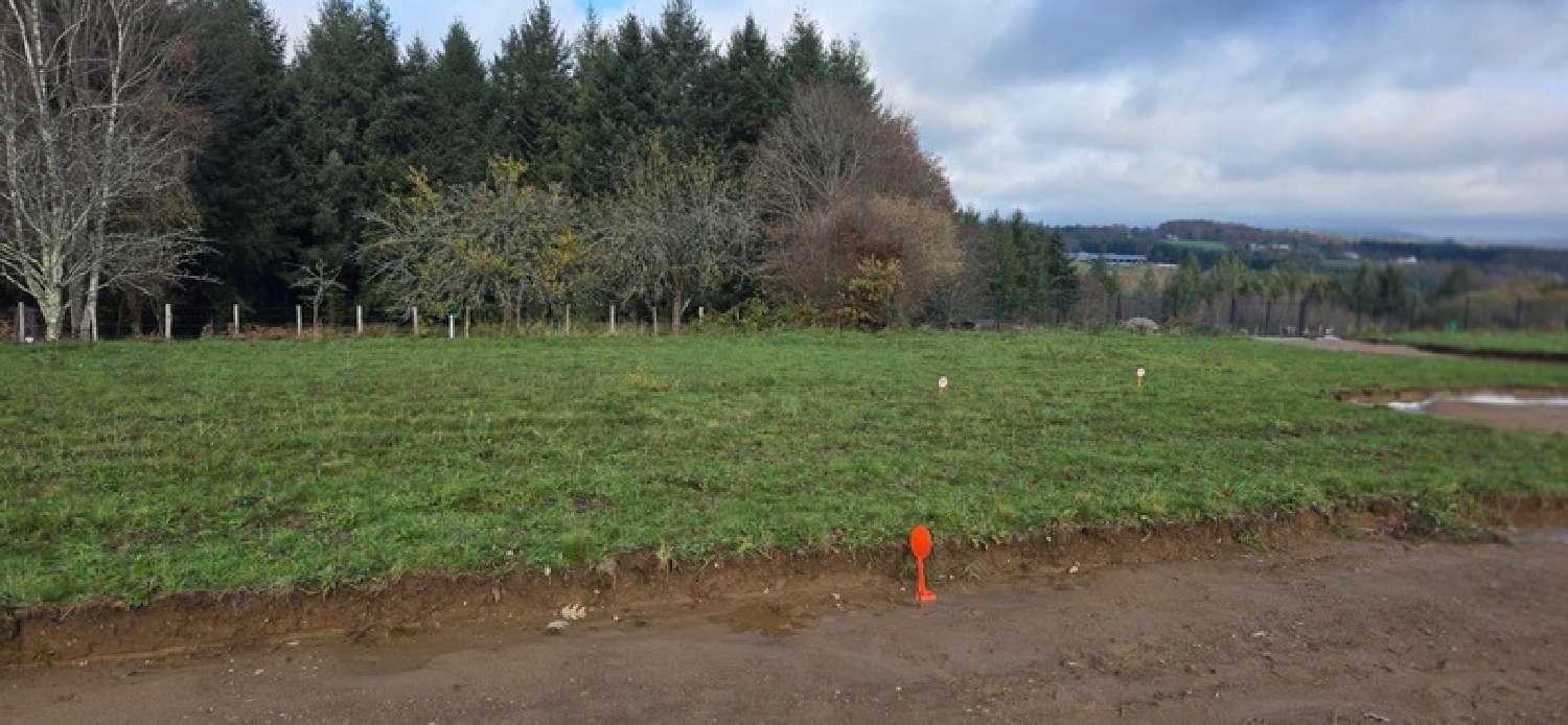  à vendre terrain Le Palais-sur-Vienne Haute-Vienne 2