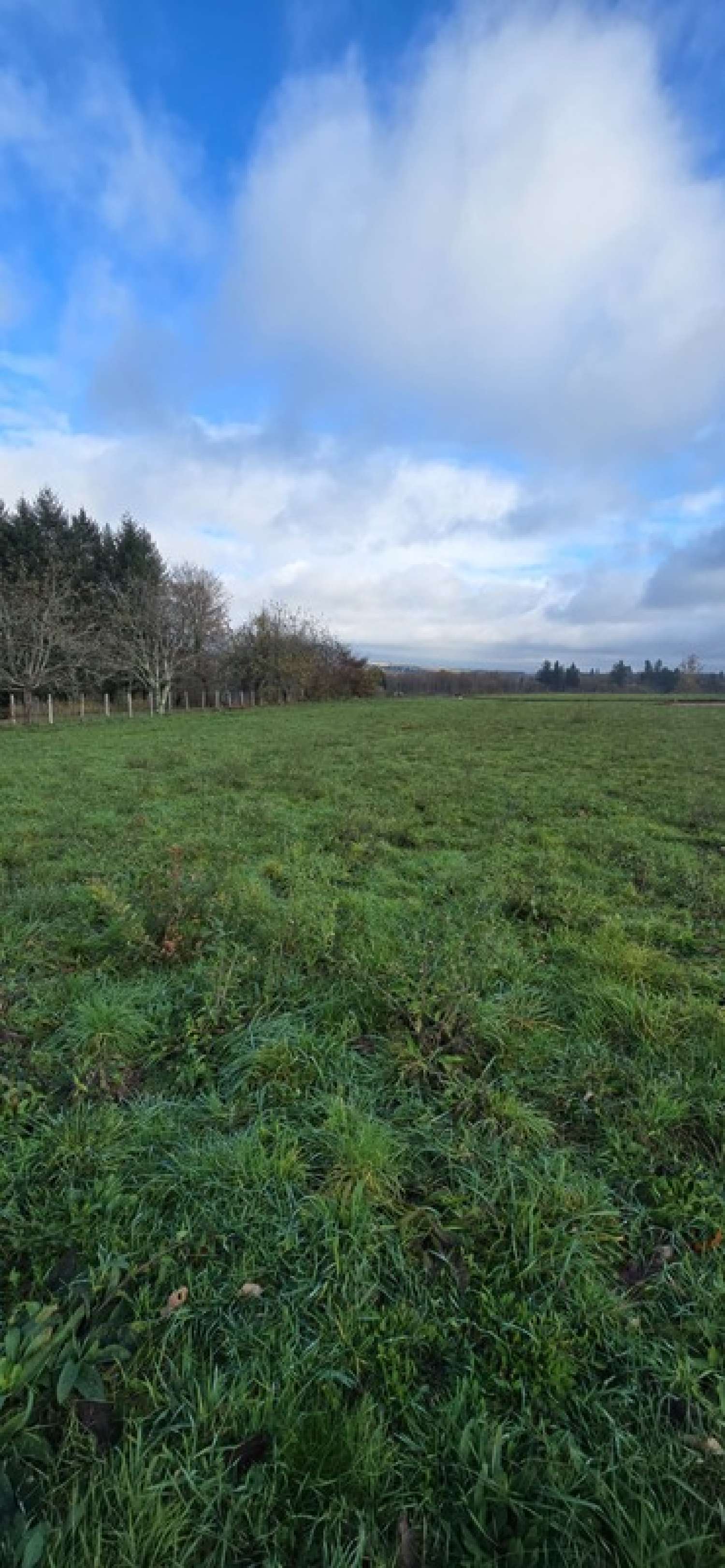  à vendre terrain Le Palais-sur-Vienne Haute-Vienne 6