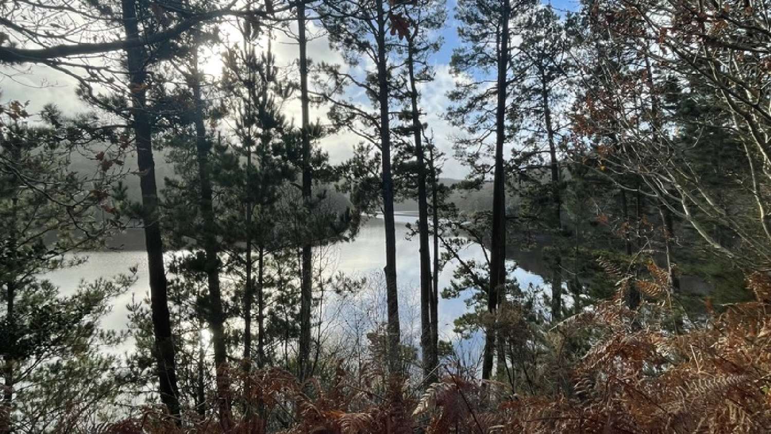  à vendre terrain Lescouët-Gouarec Côtes-d'Armor 6