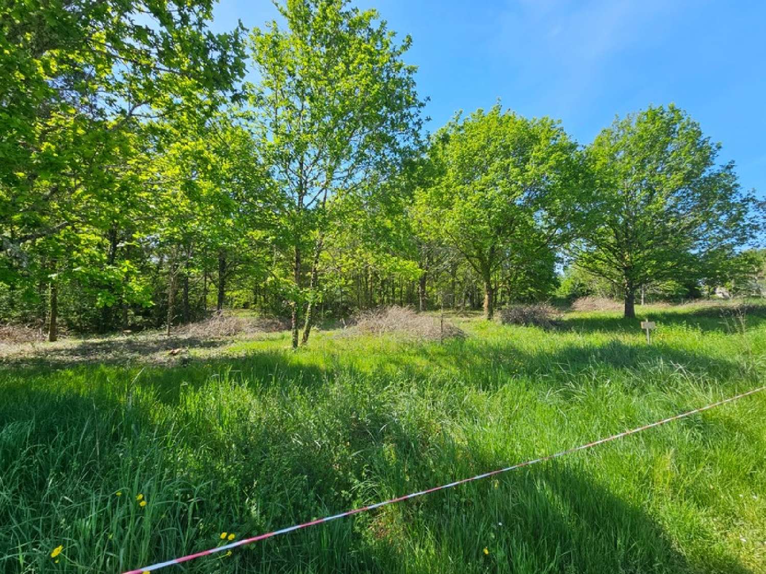  kaufen Grundstück Limeyrat Dordogne 2
