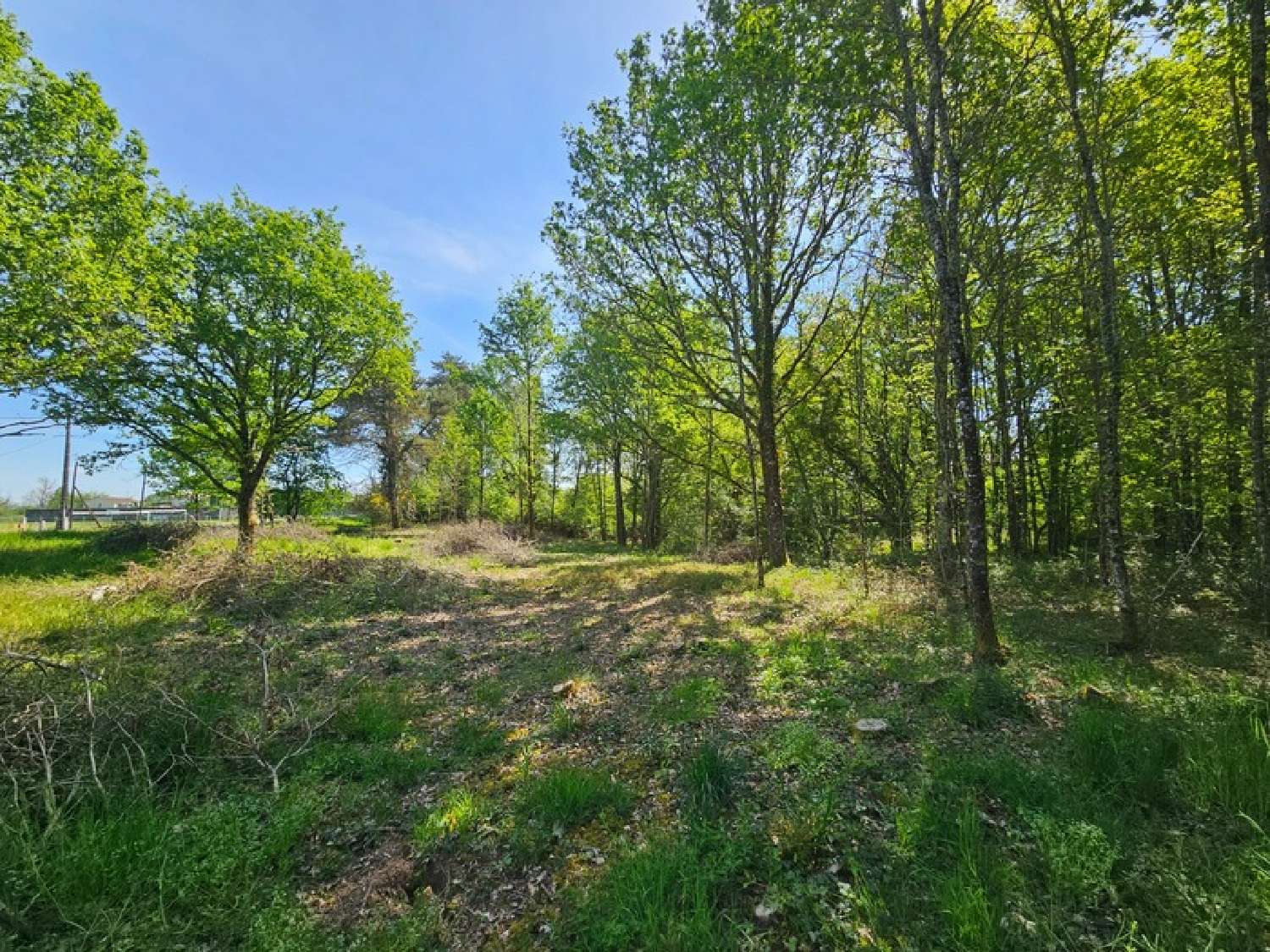  kaufen Grundstück Limeyrat Dordogne 3