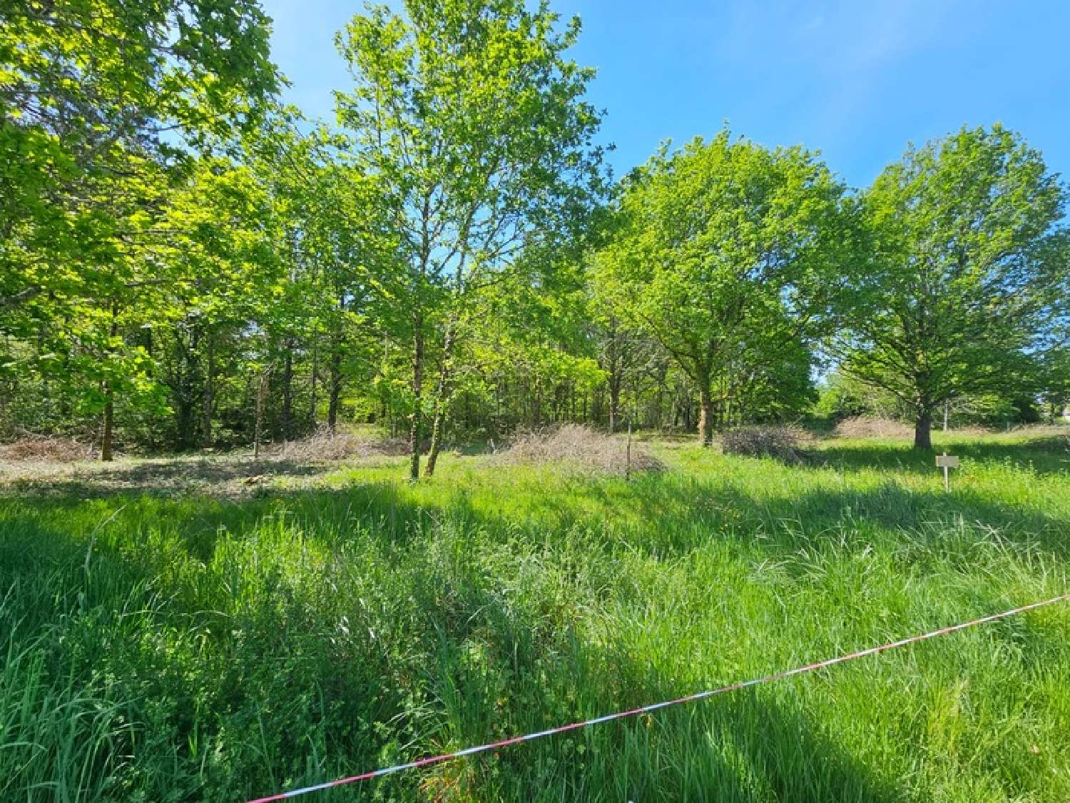  kaufen Grundstück Limeyrat Dordogne 2