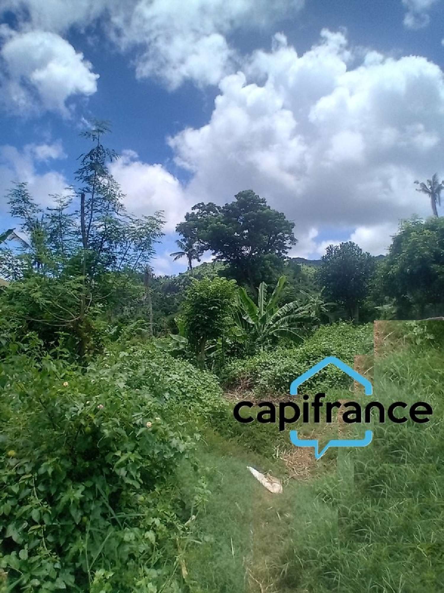  à vendre terrain Mamoudzou Mayotte 2